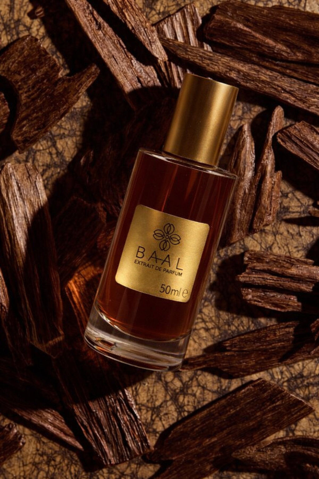 Ombre Nomade inspired by Louis Vuitton